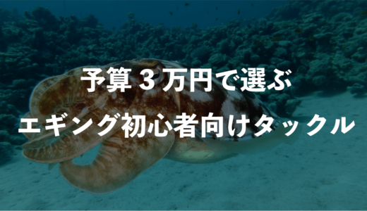 エギング初心者に予算3万円でタックルを選んでみた